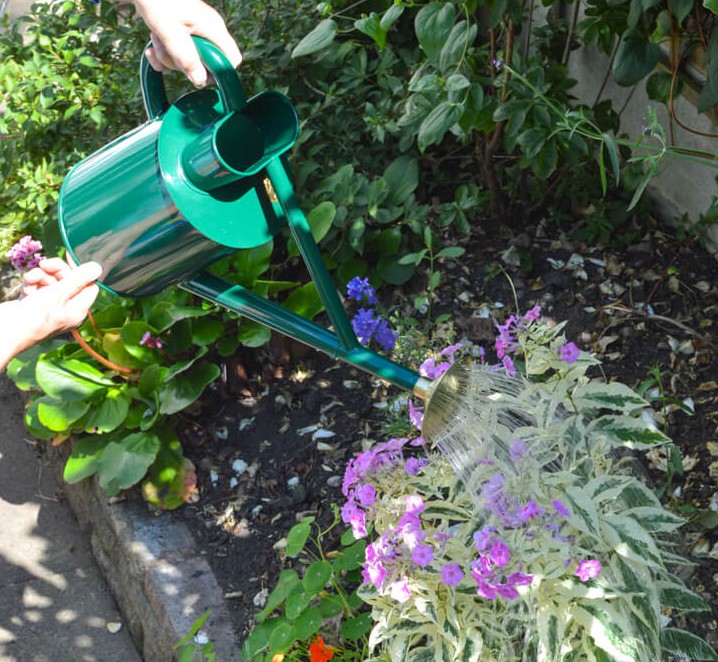 Haws Traditional Can , royalgrün