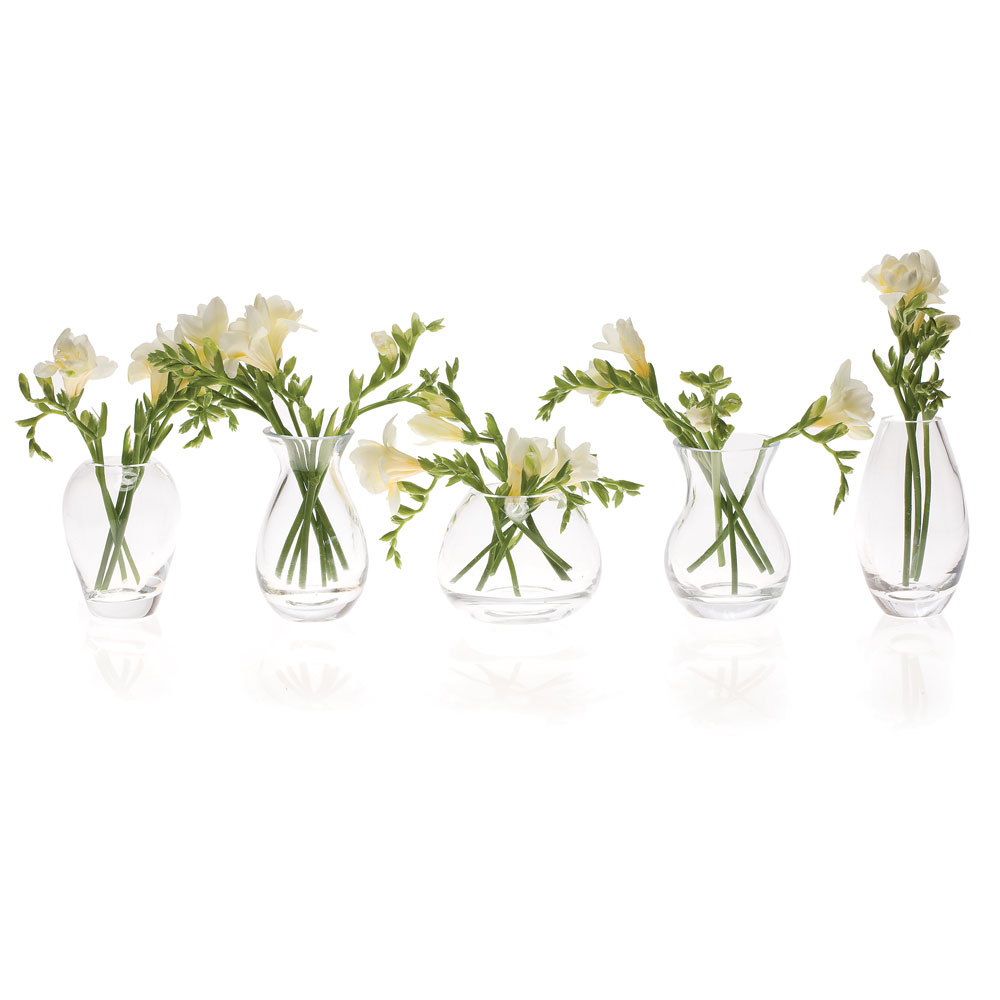 Glas-Väschen George | fünf Varianten