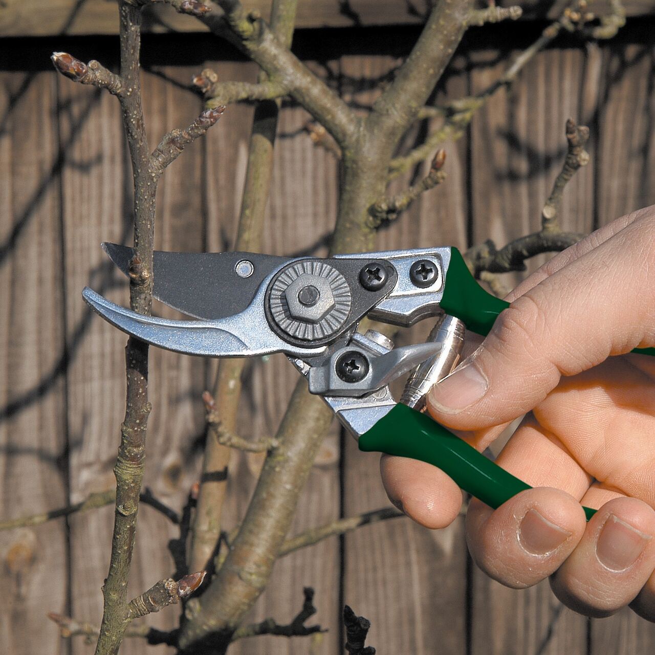 Kleine Bypass-Gartenschere von Burgon & Ball mit grünen Griffen