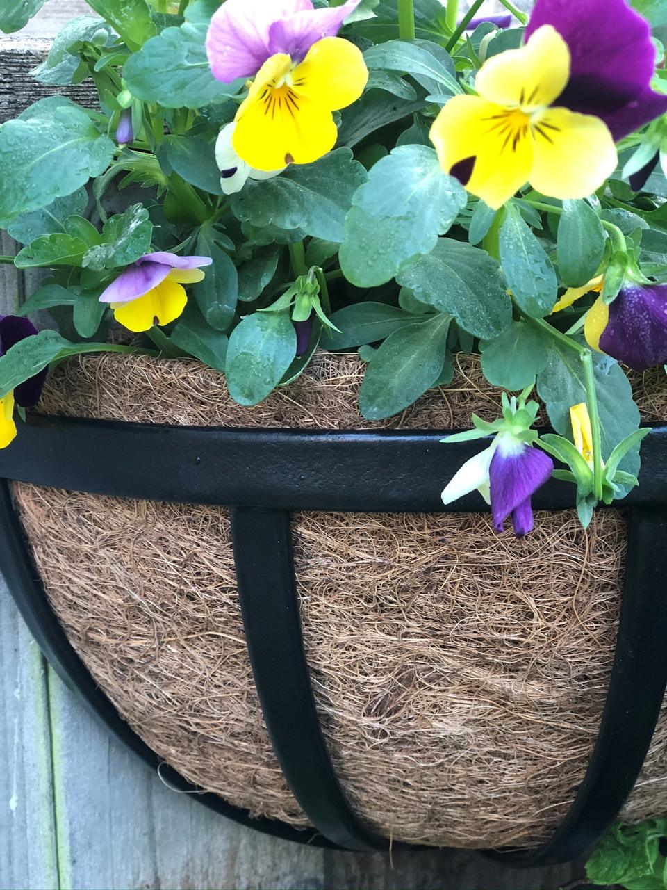 Wandpflanztrog Cambridge