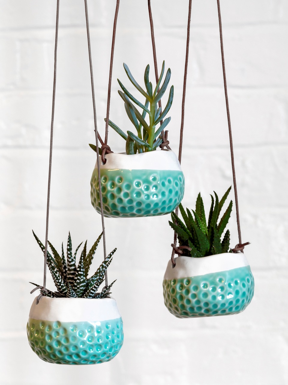 Hängetöpfe Baby Dotty