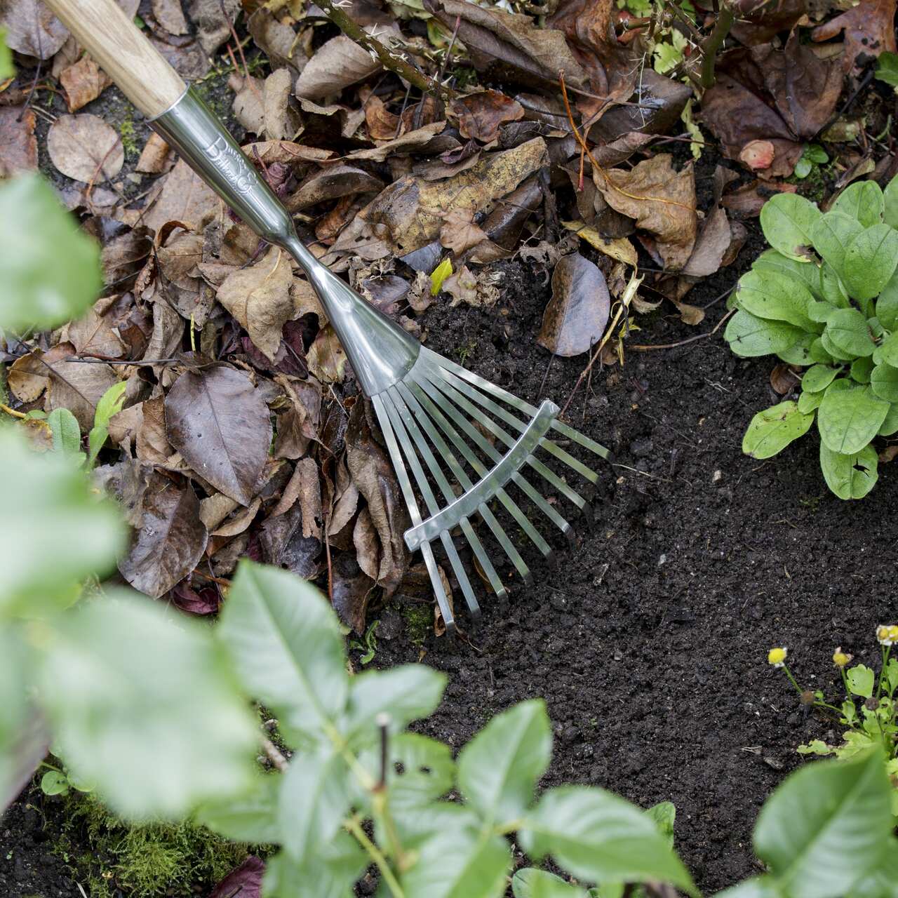 Langstieliger, schmaler Gartenrechen, Gartenharke | Edelstahl mit Holzstiel | aus England