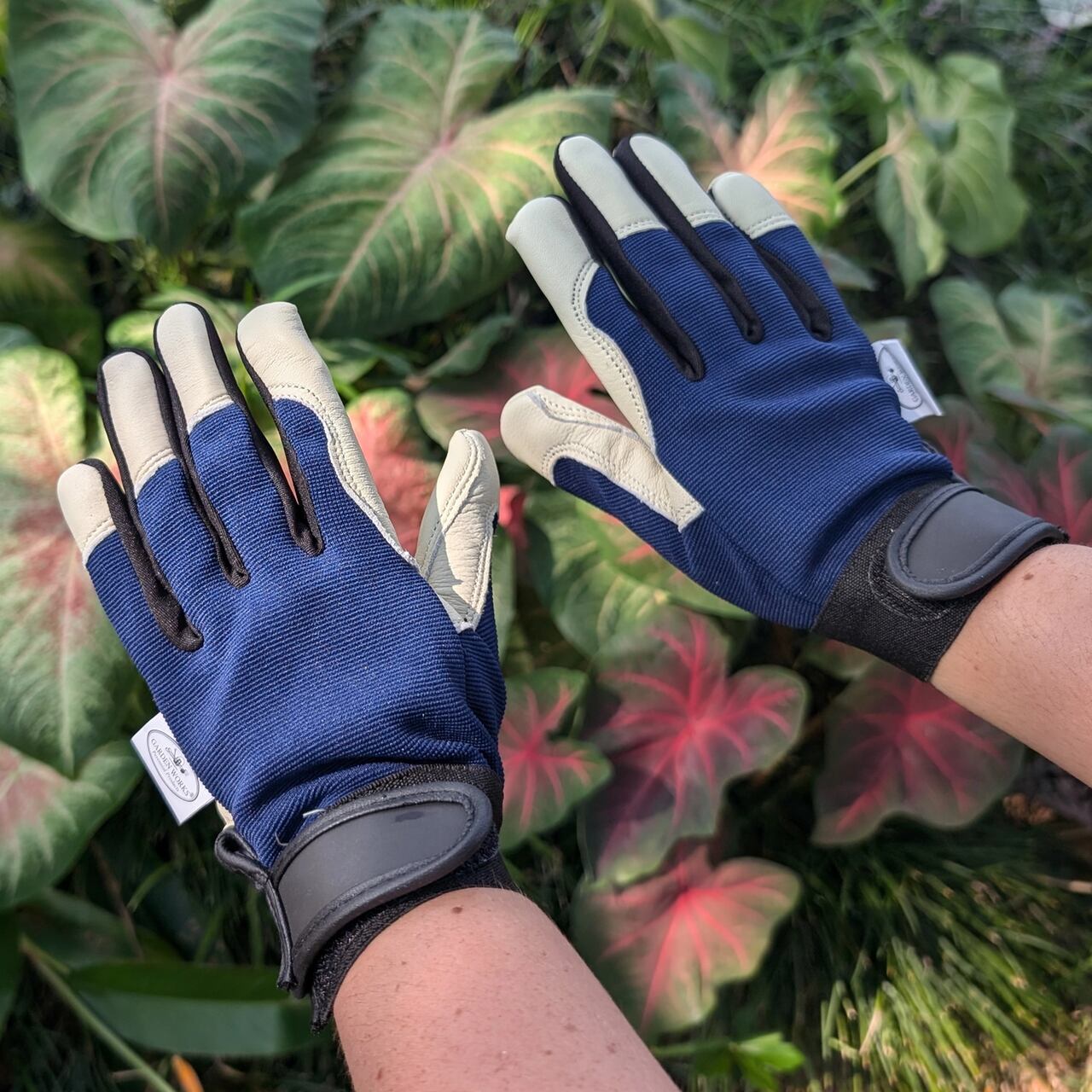 Klassische Garten-Arbeitshandschuhe aus Rindsleder | Mit blauem Textil-Handrücken und Klettverschluss