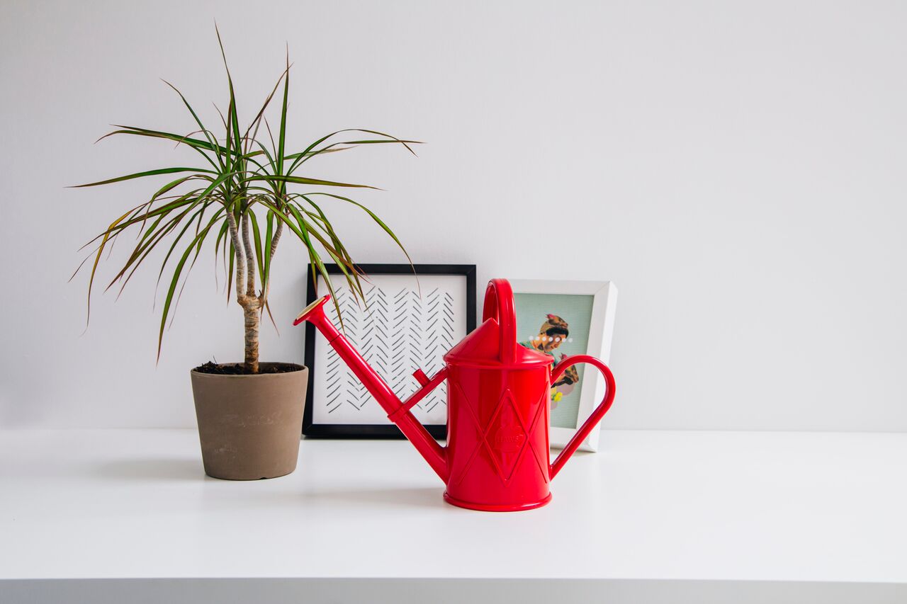 Heritage Plastic-Can rot