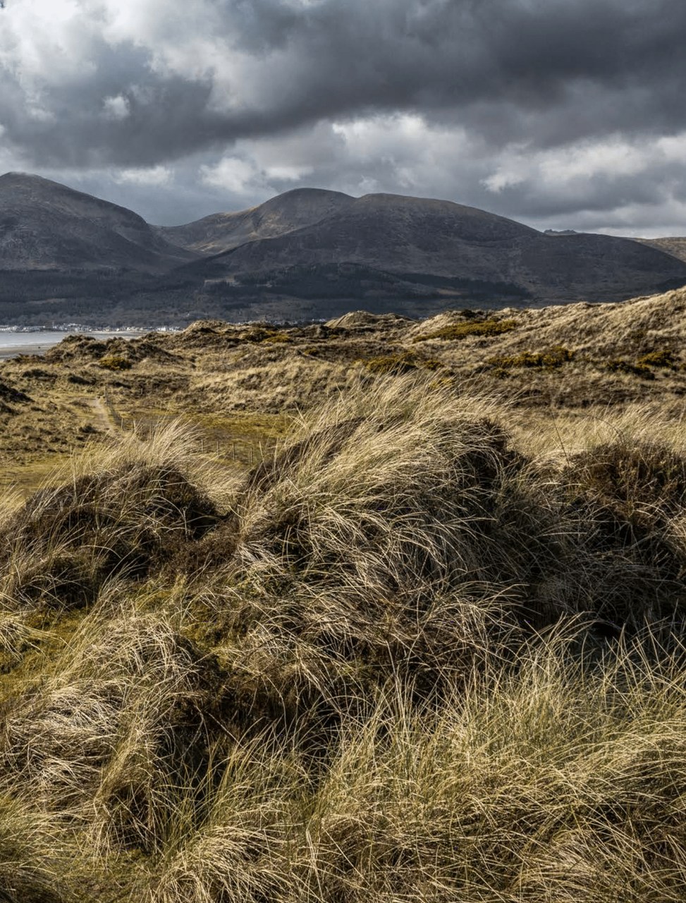Murlough Bay - wo die Mourne Mountains auf die Irische See treffen
