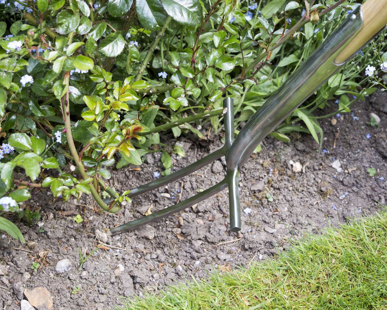 Rosengabel | zum Belüften der Wurzeln