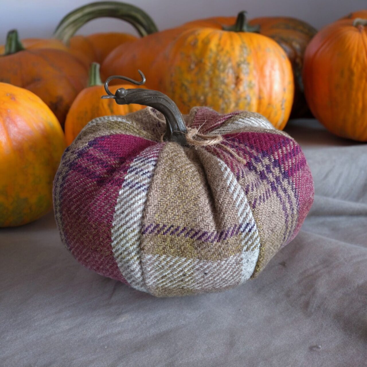 Stoffkürbis | Design Balmoral-Karos | heidefarben