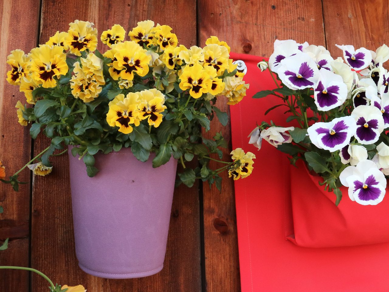 Hänge-Pflanztopf 'The Green Pot' | Lavendel