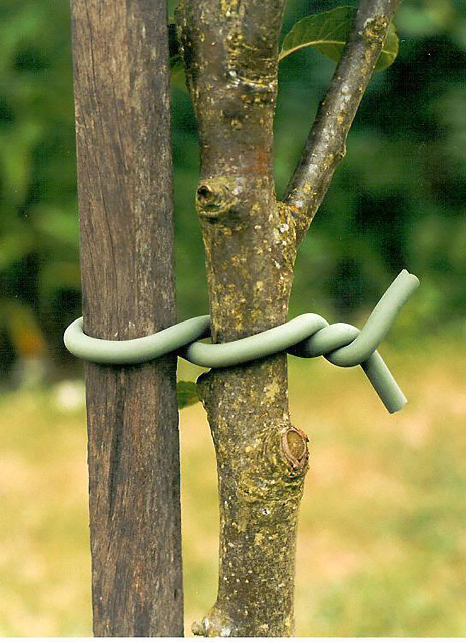 Original Soft-Tie am Baum