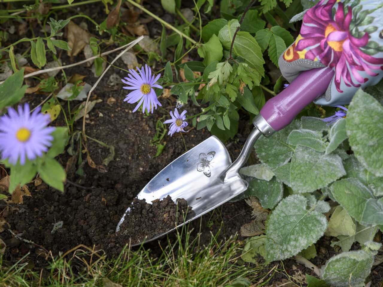 Gartenschaufel aus der Sommeraster Präsentbox