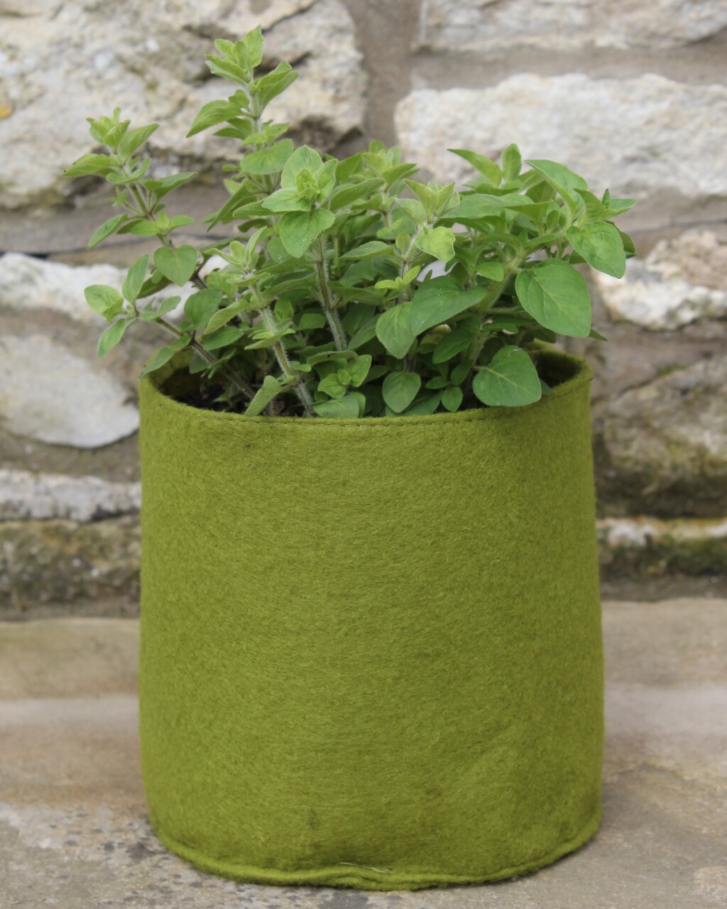 2,5 Liter Vigoroot Pot