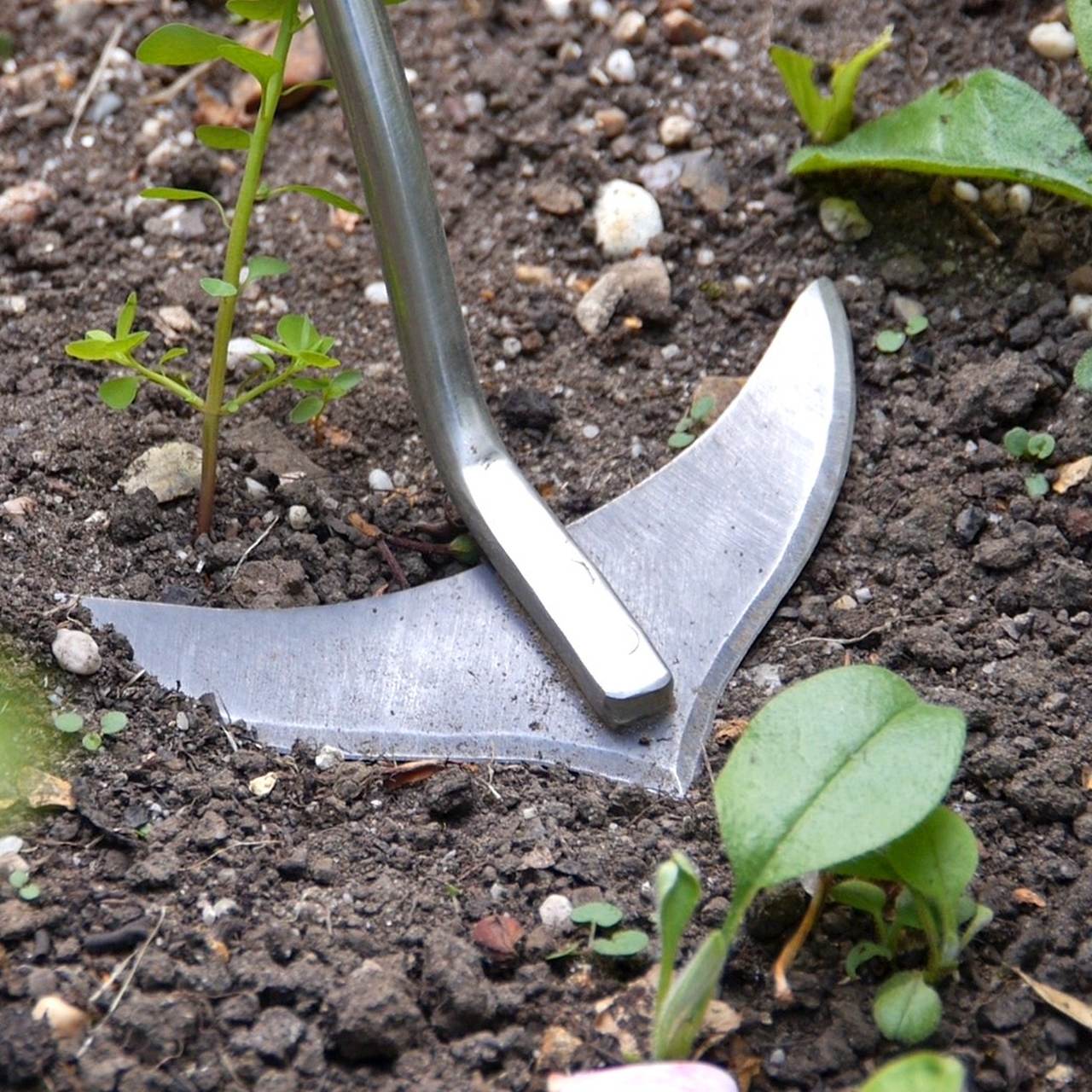 Weed Slice im Erdreich
