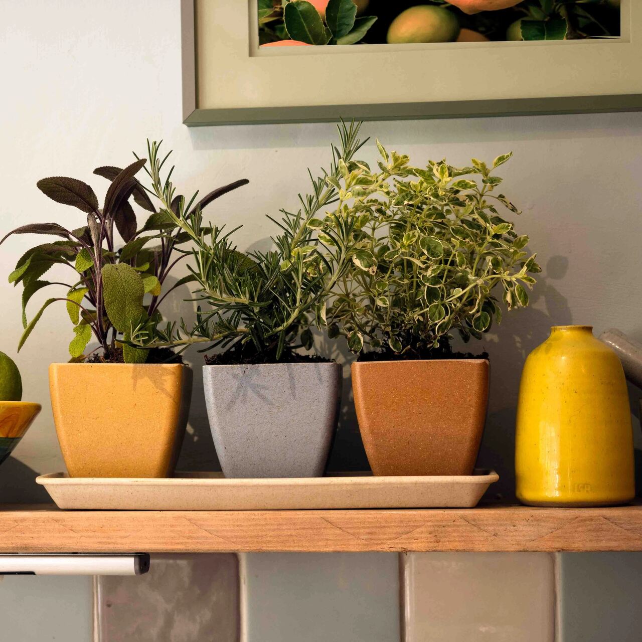 3 Earth Pots Set auf einem Untersetzer - aus Reishülsen - biologisch abbaubar