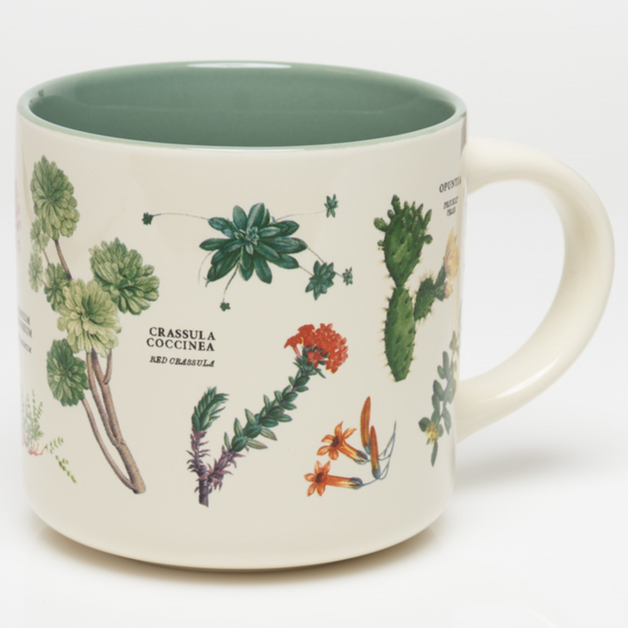 Sukkulenten | Große Keramiktasse für 450 ml