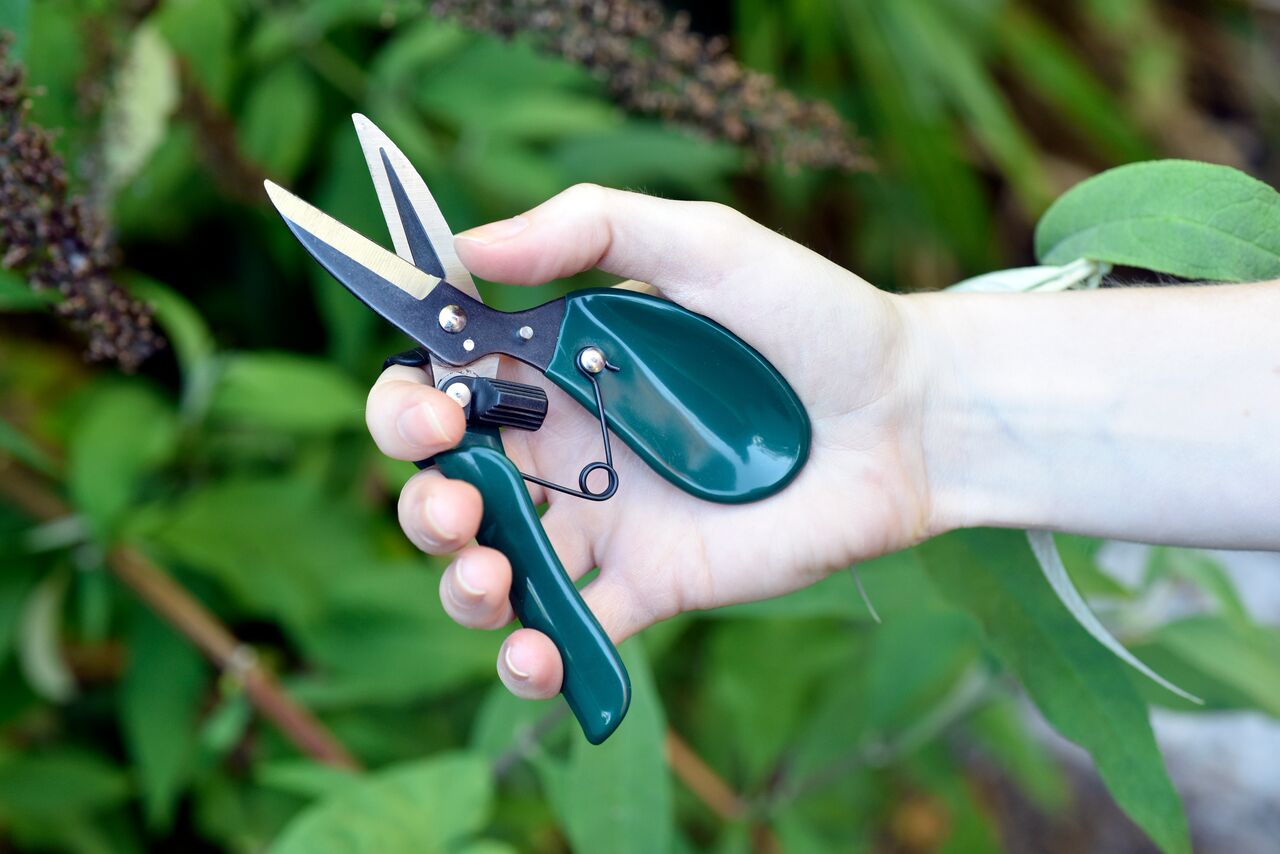 Ausputzschere von Burgon & Ball