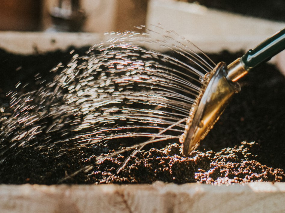 Ersatzbrause Baby Rose | für Haws Classic Cans