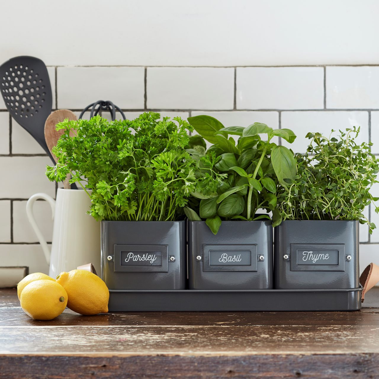 Burgon & Ball | Herb Pots in a Tray | Charcoal