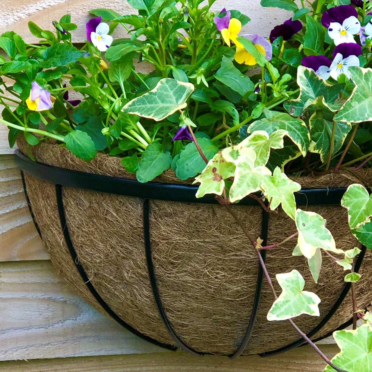 Wand-Pflanzkorb | Oxford | mit runden Stäben