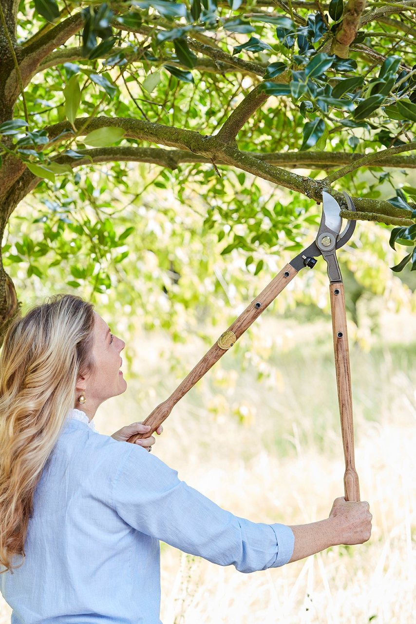 Astschere | Sophie Conran for Burgon & Ball