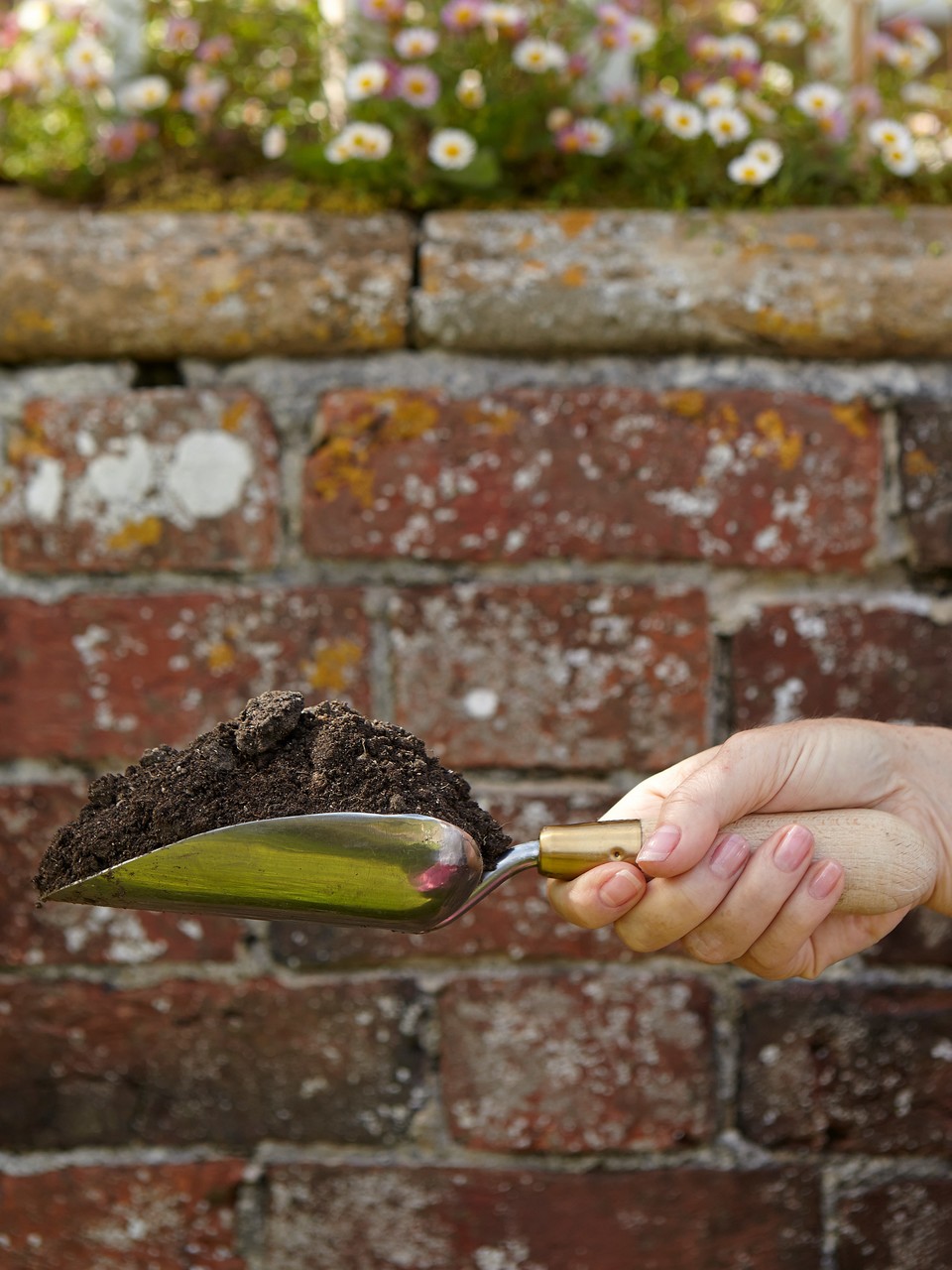 Sophie Conran Gartenschaufel seitlich