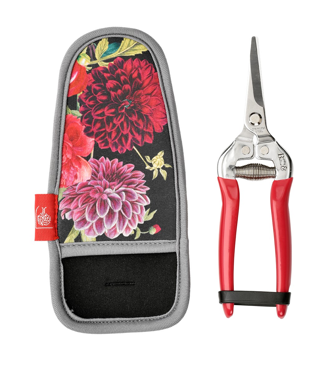 British Bloom Präsentbox - Blumenschere mit Holster