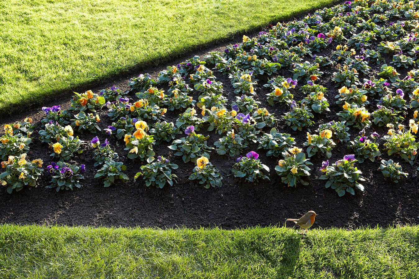 Rasenkanten im englischen Stil