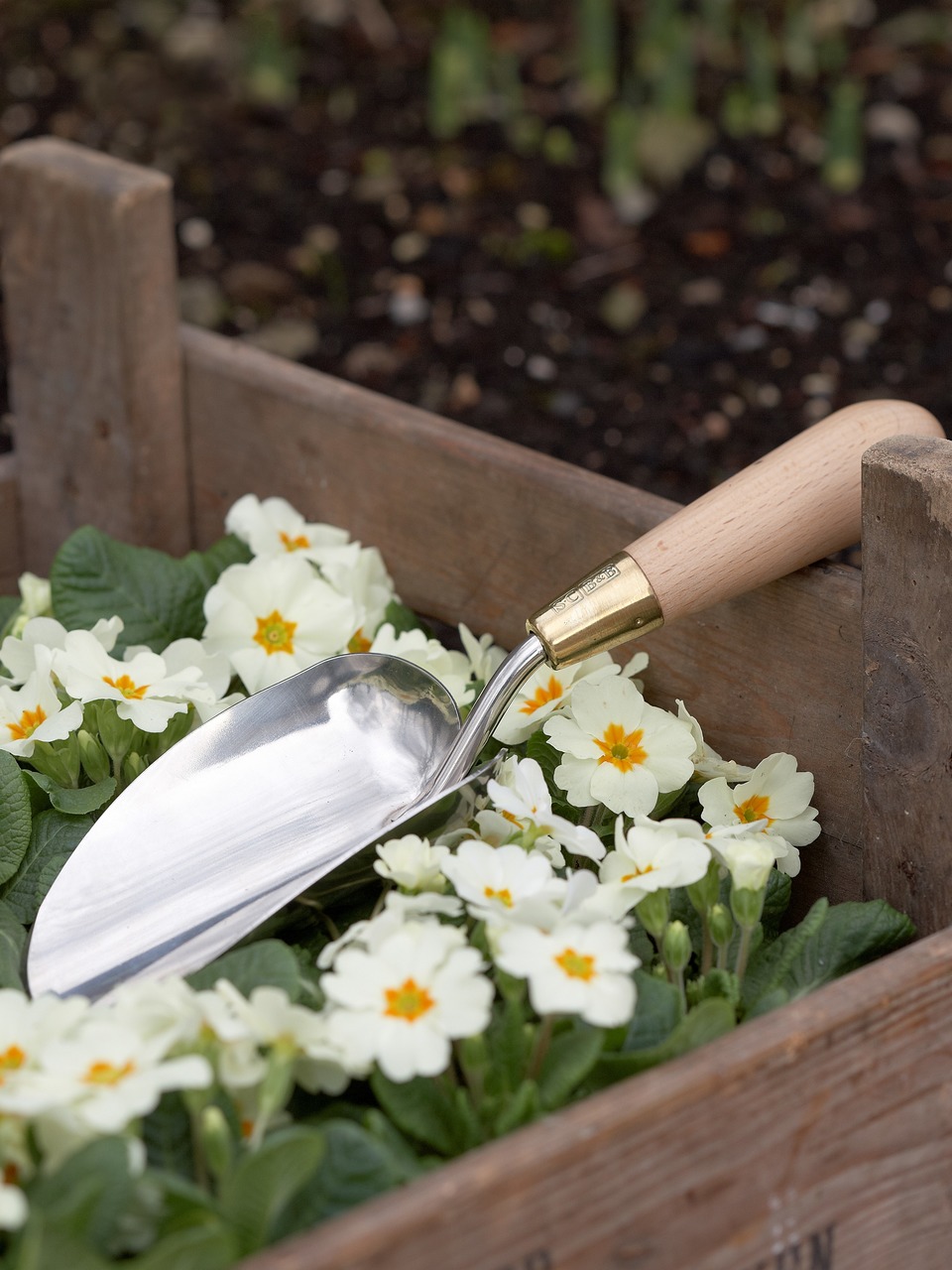 Gartenschaufel, Design Sophie Conran für Burgon & Ball