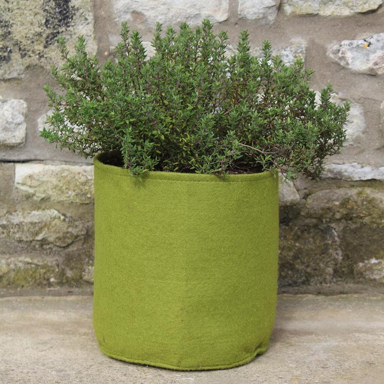 5 Liter Vigoroot Pot