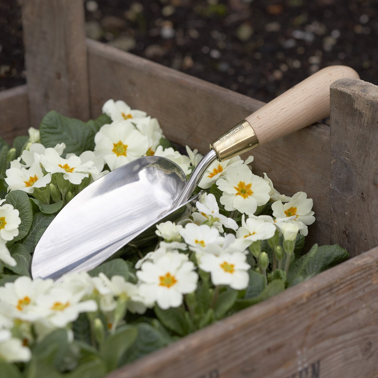 Von Frau - für Frau | Design-Gartenschaufel von Sophie Conran | in einer Kiste mit weißen Primeln