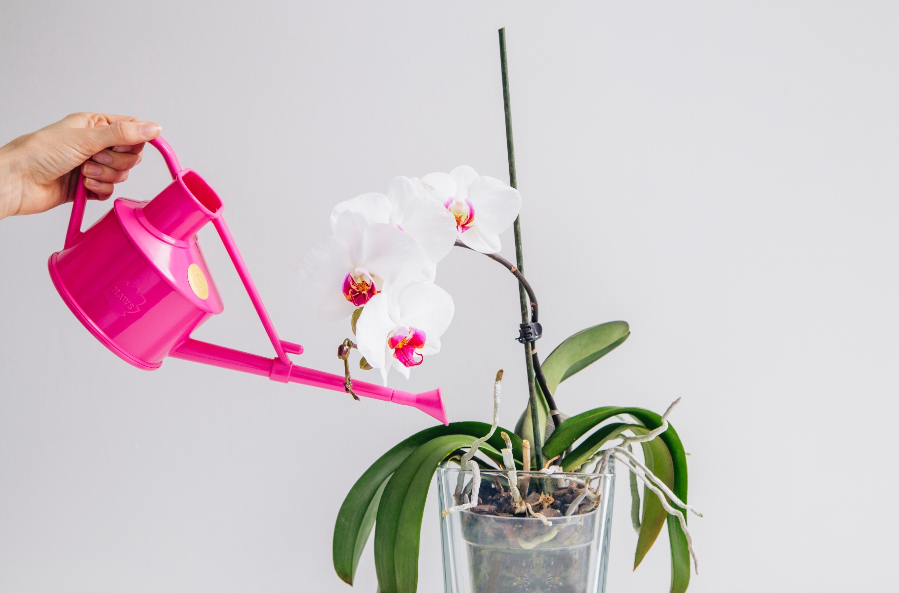 Haws Plastic Handy Can 0,7 Liter