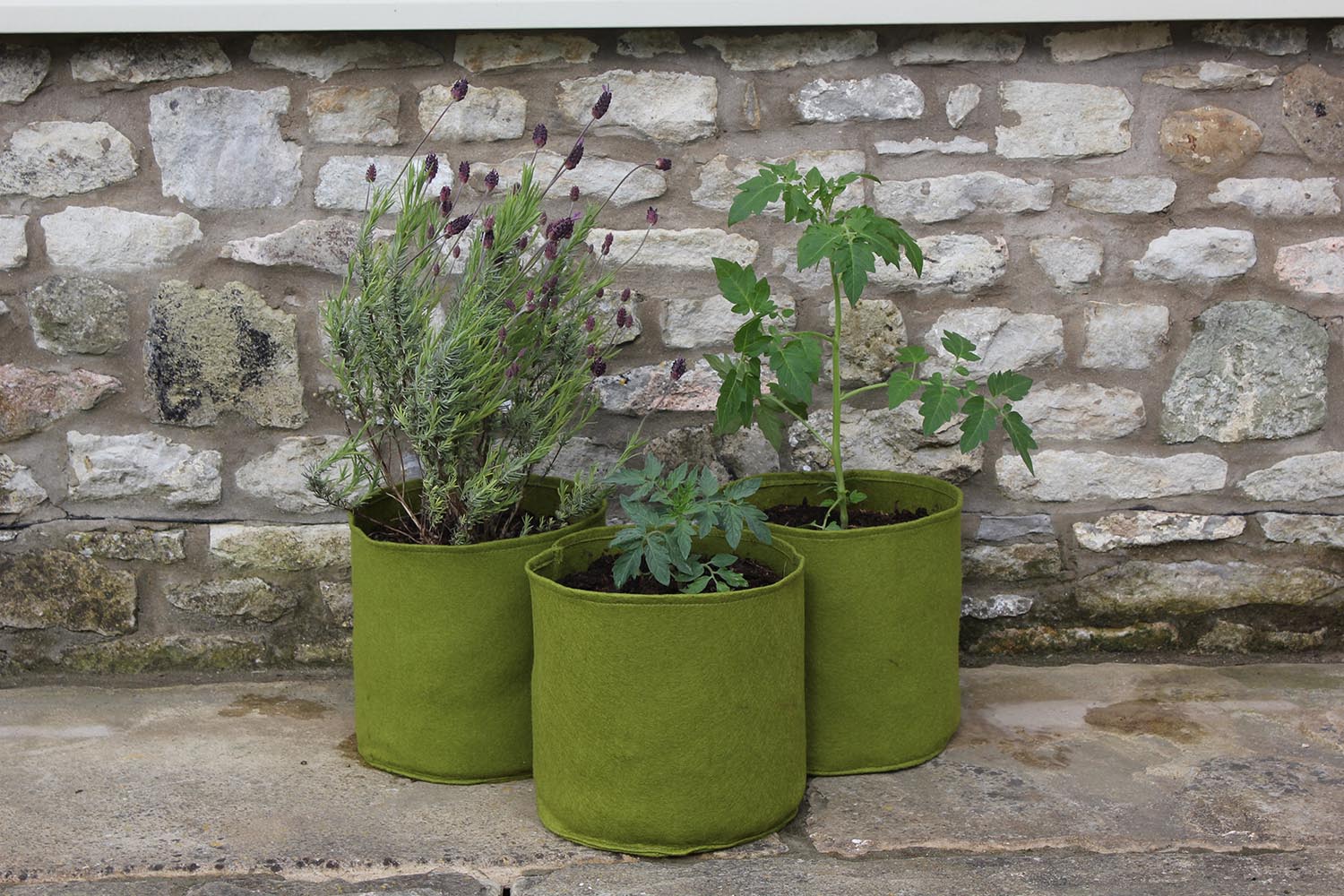 Vigoroot Pots 10 Liter