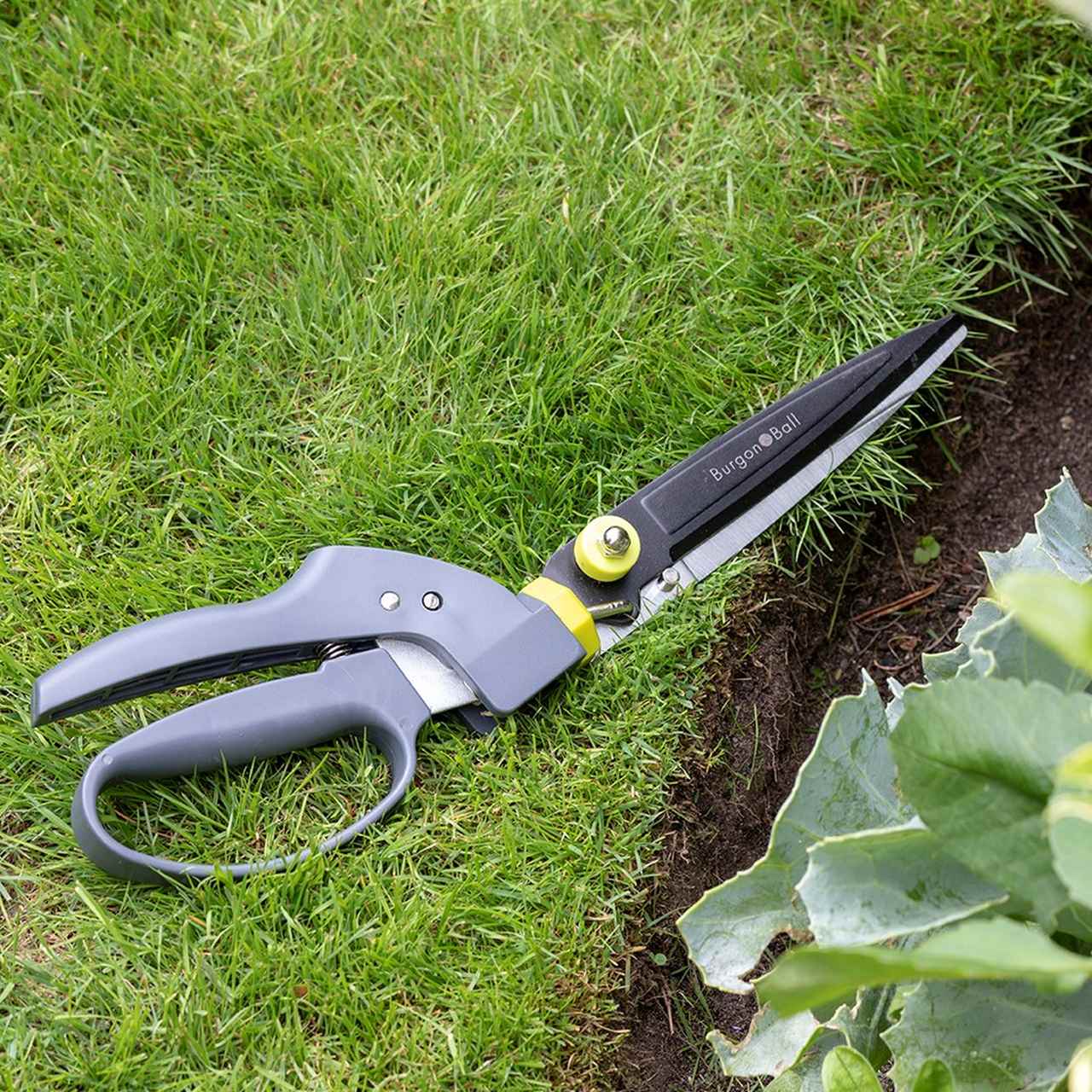 Burgon & Ball Einhand-Grasschere