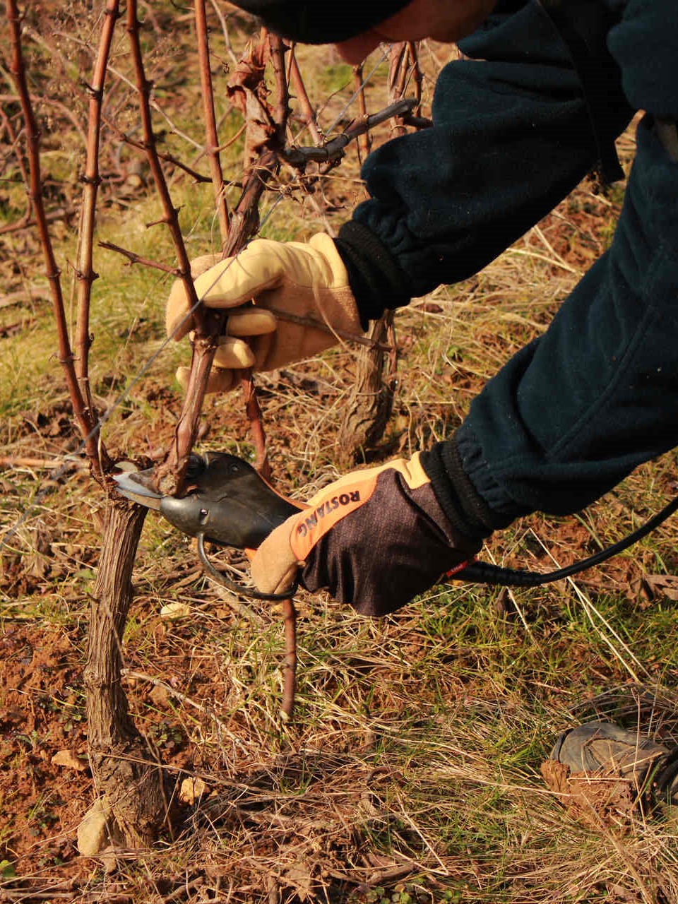 Rostaing Gartenhandschuhe aus Leder für kalte Tage