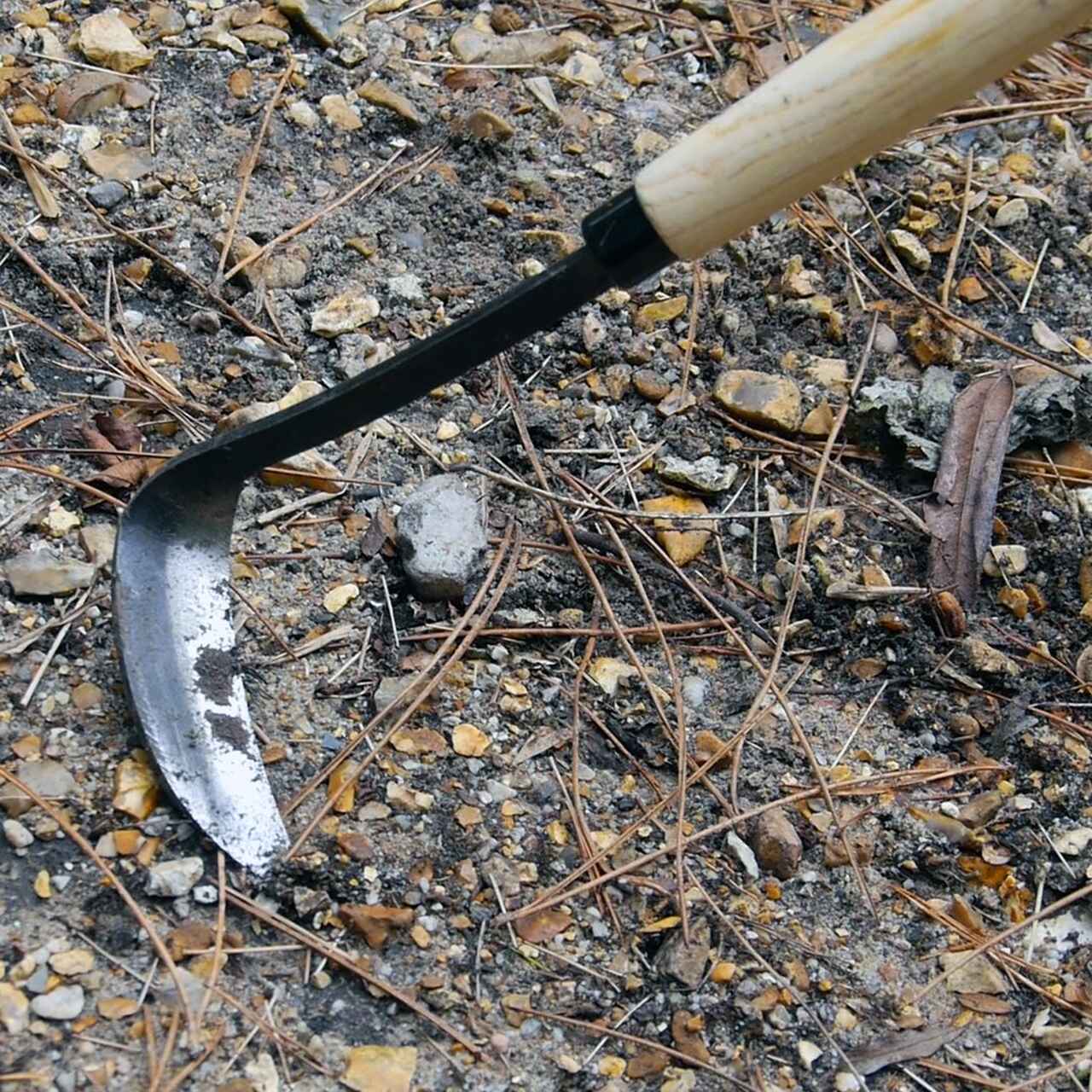 Razor Hoe | Jäte-Messer | Cape Cod Weeder | mit langem Stiel | von Burgon & Ball