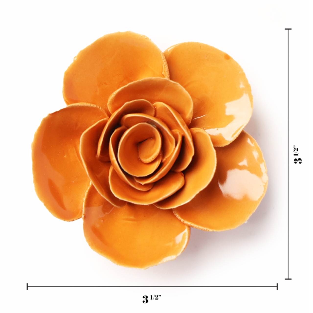 Ranunkel | Farbe: Orange | von Chive, UK