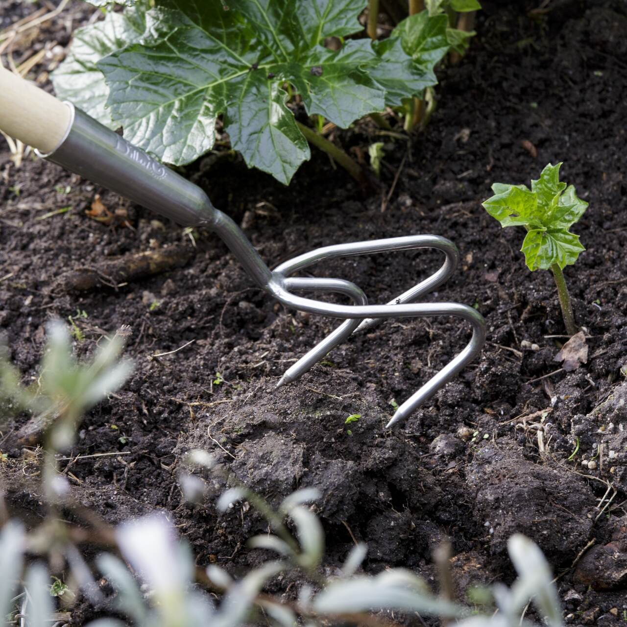Handgrubber, Gartenkralle, langstieliges Gartenwerkzeug | Edelstahl mit Holzstiel | aus England