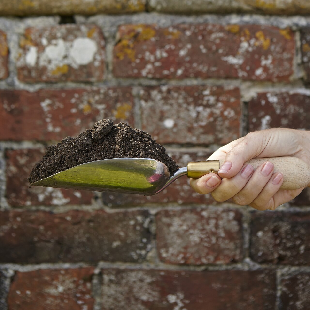 Edelstahl-Gartenschaufel von Sophie Conran mit tief gewölbter Form und einer schön geschwungenen 'Rückrieselsperre'