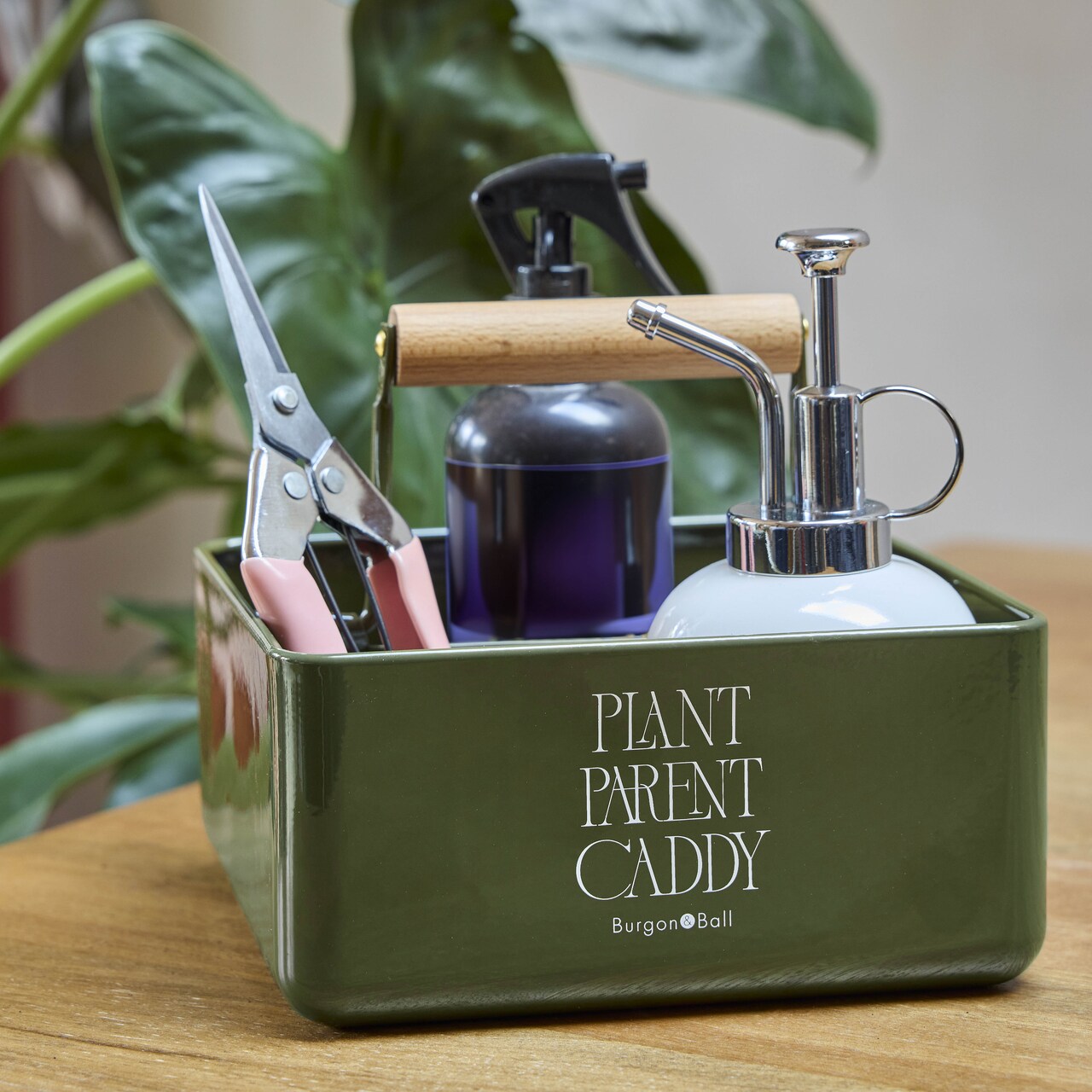 Utensilien-Caddy für Zimmerpflanzen | für die Pflege Ihrer Zimmerpflanzen