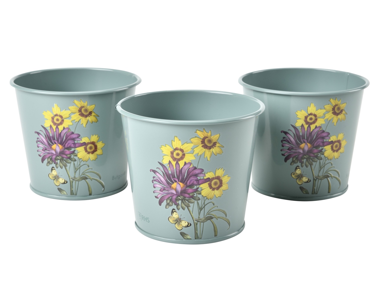 Kräutertopf-Set | Sommeraster-Design | aus England
