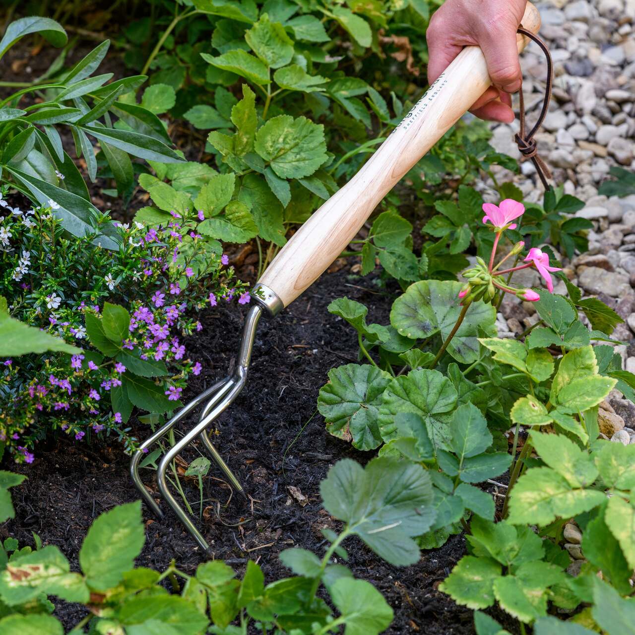 Mittellanger Handgrubber, Gartenkralle mittlere Länge, Edelstahl mit Holzgriff