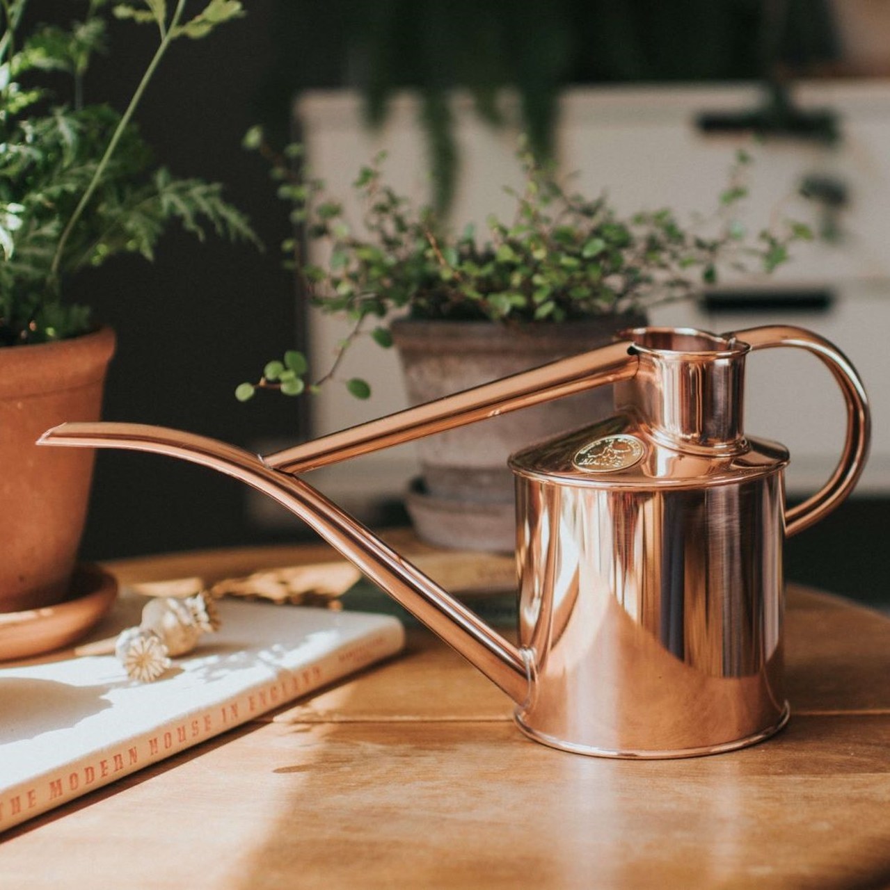 Haws Pot Waterer 2 Pint, Kupfer