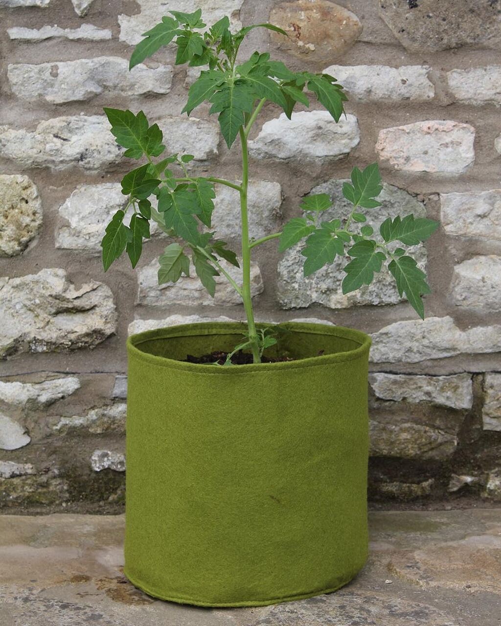 Vigoroot Topf 10 Liter