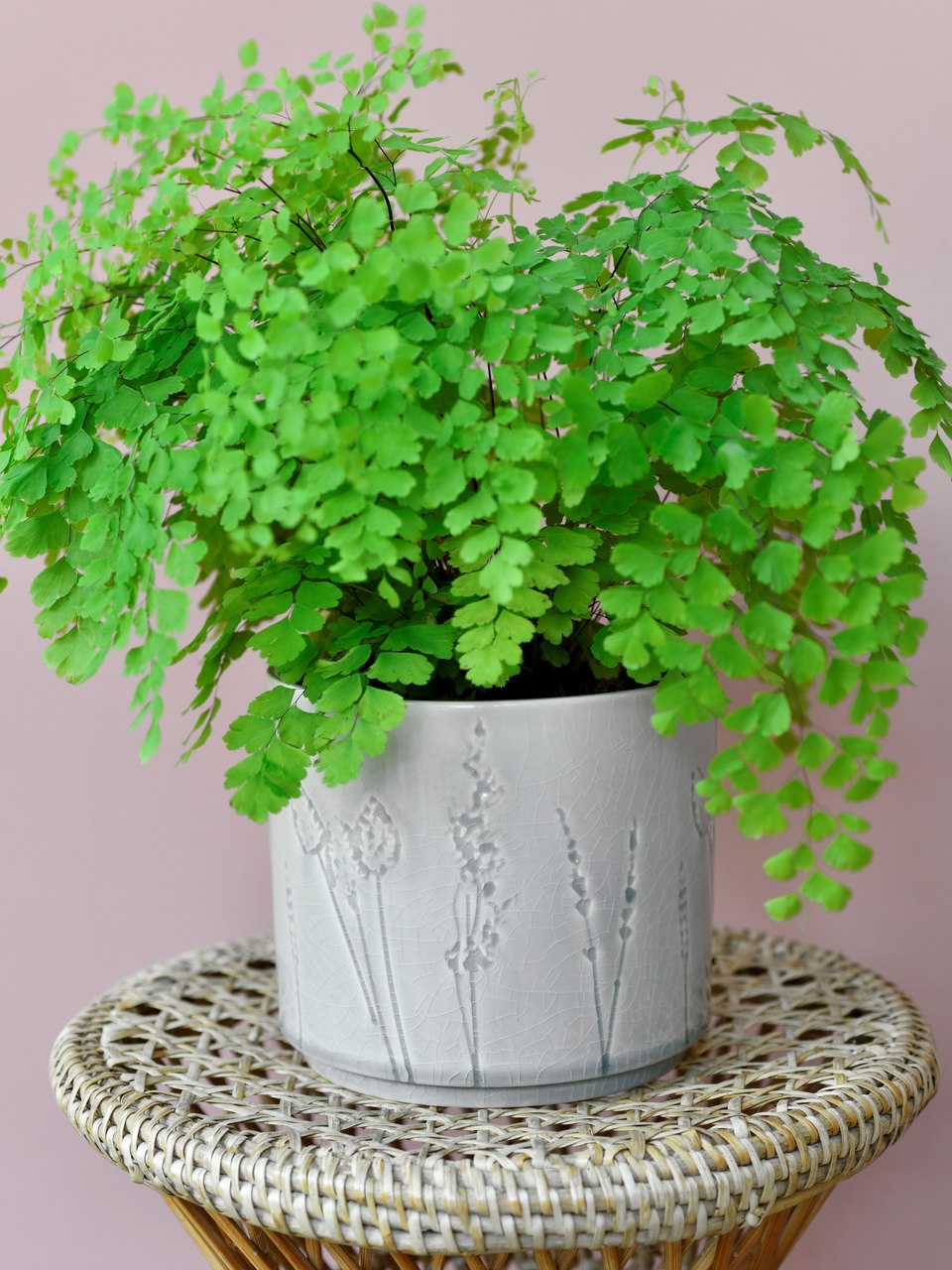 Indoor-Topf PROVENCE groß | von Burgon & Ball