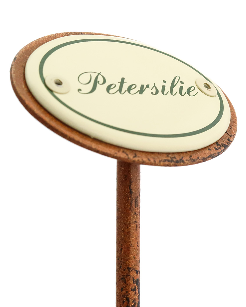 Kräuterstecker Petersilie seitlich