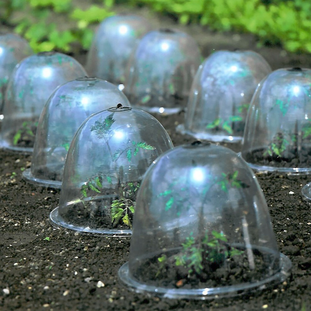 Baby Victorian Bells von Haxnicks