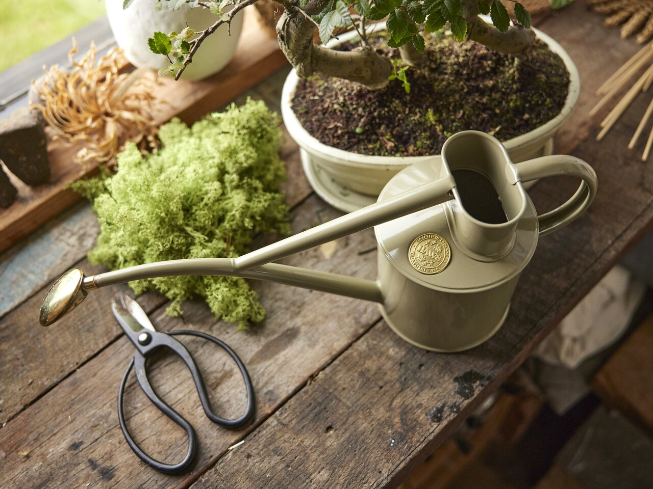 Haws Zimmergießkanne Classic | Flechtengrün