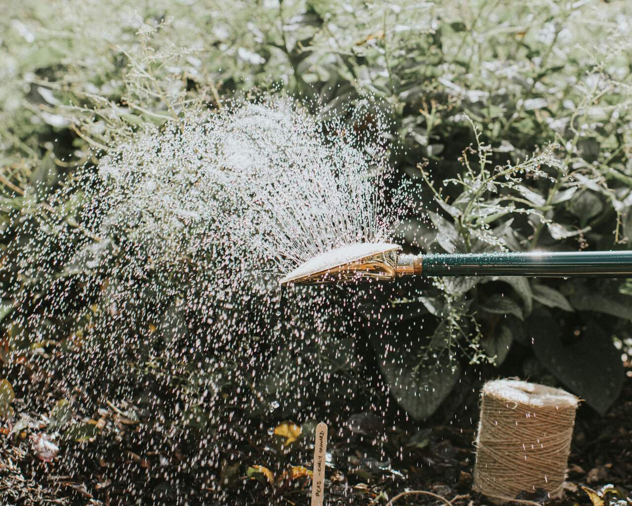 Gießen - Fine as rain!