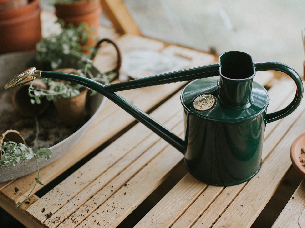 Zimmergießkanne Classic | Royalgrün