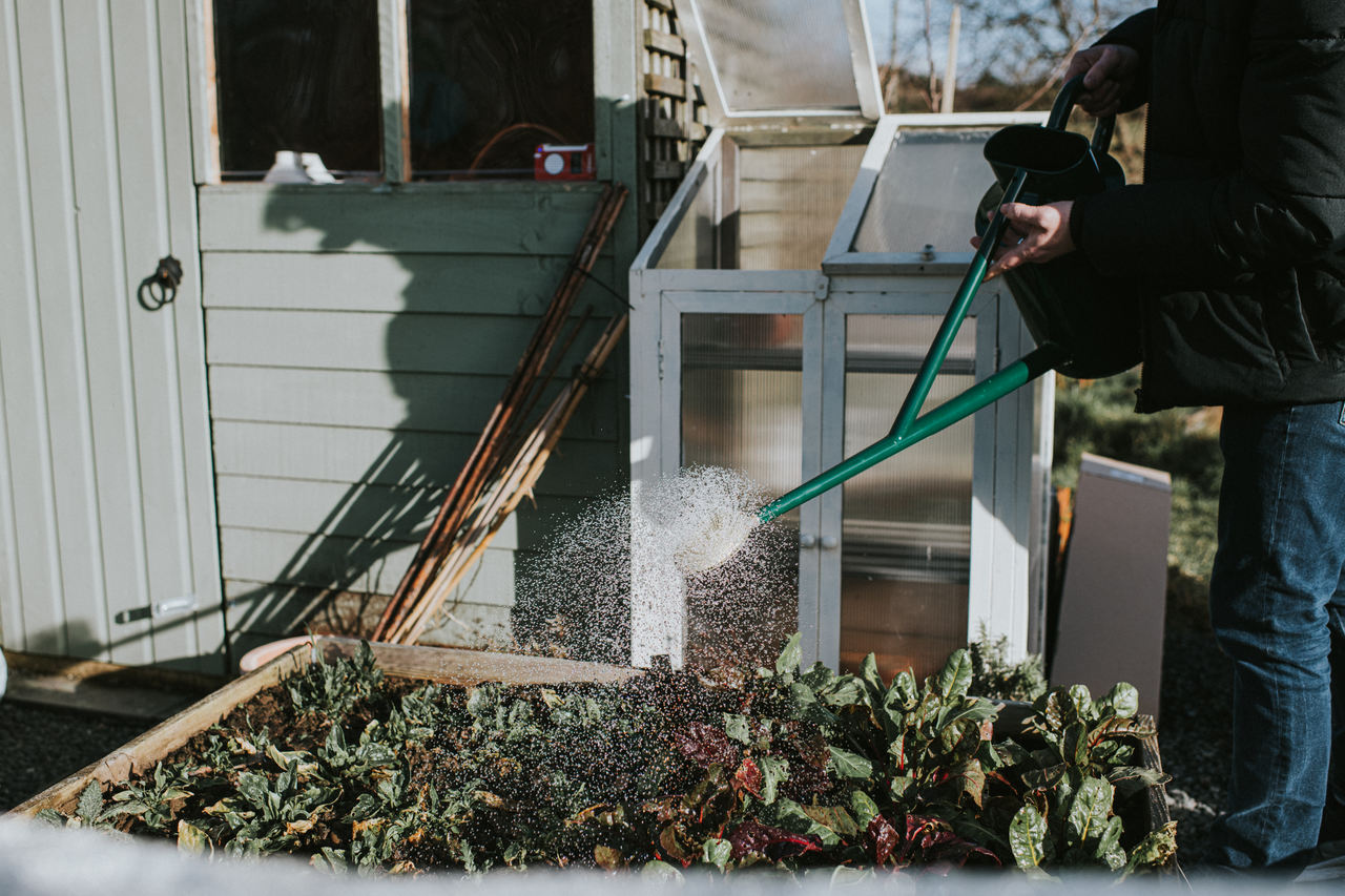 9 Liter Long Reach Can von Haws | Gießen 'Fine as rain'