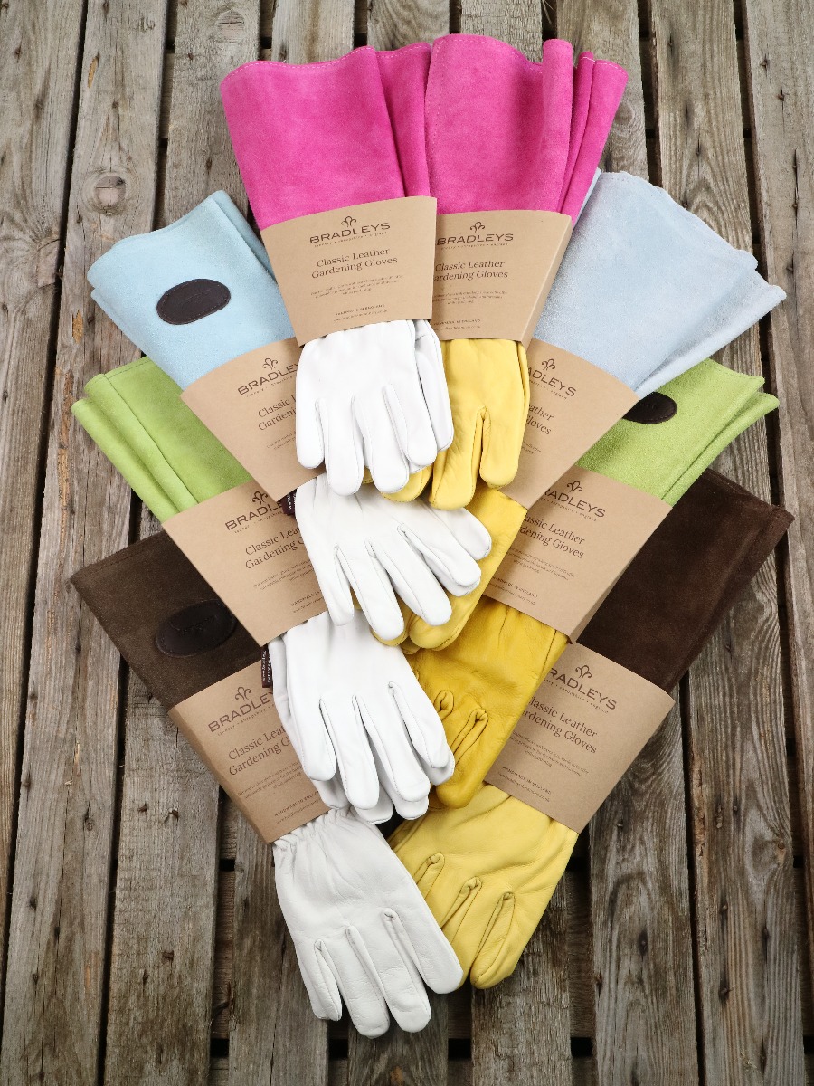 Bradley's Raulederhandschuhe | 4 Farbvarianten